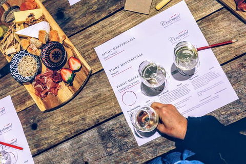 Taste Of The Highlands: Pinot Masterclass And Gourmet Lunch With Wine Pairings - Accommodation BNB 4