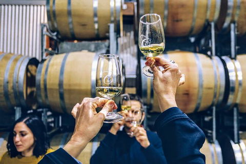Taste Of The Highlands: Pinot Masterclass And Gourmet Lunch With Wine Pairings - Accommodation BNB 8