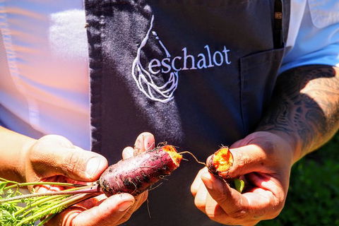 Taste Of The Highlands: Pinot Masterclass And Gourmet Lunch With Wine Pairings - Accommodation BNB 11