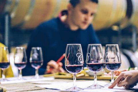 Taste Of The Highlands: Pinot Masterclass And Gourmet Lunch With Wine Pairings - Accommodation BNB 2
