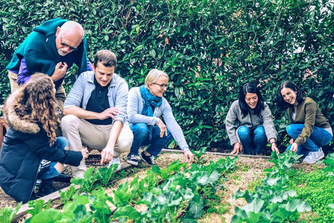 Taste Of The Highlands: Pinot Masterclass And Gourmet Lunch With Wine Pairings - Accommodation BNB 10