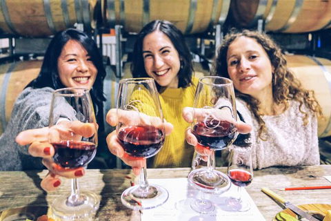 Taste Of The Highlands: Pinot Masterclass And Gourmet Lunch With Wine Pairings - Accommodation BNB 6