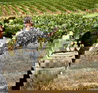 VIP Soil-To-Cellar Experience - Accommodation BNB