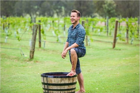 Hunter Valley Grape Stomping - Accommodation BNB 0