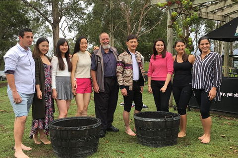 Hunter Valley Grape Stomping - Accommodation BNB 1