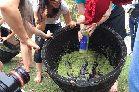 Hunter Valley Grape Stomping - Accommodation BNB 3
