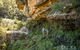Private Guided: Blue Mountains Hiking & Nature Tour - thumb 1