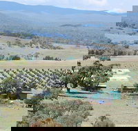 Truffle Hunt and Luncheon - Accommodation BNB