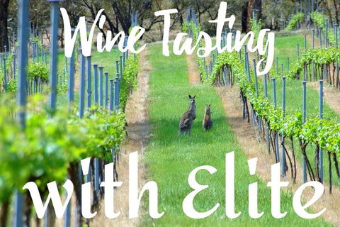 Six Hour - Plan Your Own Wine And Cheese Tour Hunter Valley - Accommodation BNB 7