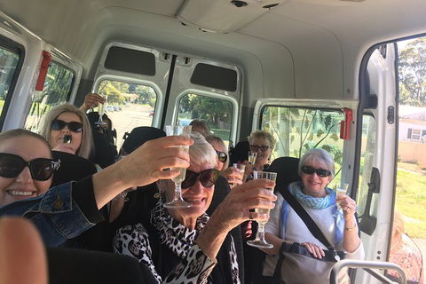 Six Hour - Plan Your Own Wine And Cheese Tour Hunter Valley - Accommodation BNB 1