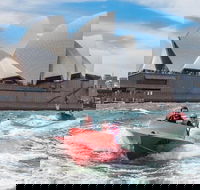 Sydney Speed Boat Adventure Harbour Tour - Accommodation BNB