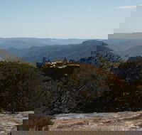 The Explorers' Discovery Tour - Gold Wine  Wildlife - Accommodation BNB