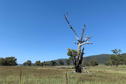 The Explorers\' Discovery Small Group Tour - Gold, Wine & Wildlife - Accommodation BNB 6