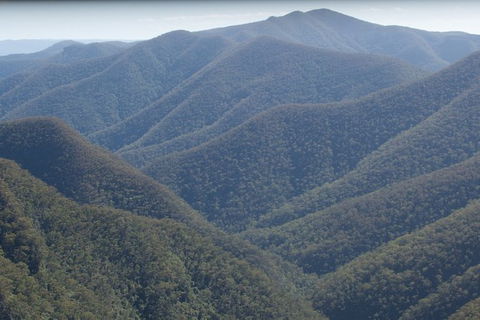 The Explorers\' Discovery Small Group Tour - Gold, Wine & Wildlife - Accommodation BNB 5