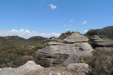 The Explorers\' Discovery Small Group Tour - Gold, Wine & Wildlife - Accommodation BNB 16