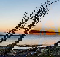 Full-Day Kiama Coast and the Royal National Park Guided Tour - Accommodation BNB