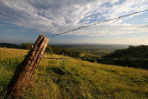 Private Full-Day Wine Tour In Hunter Valley - Accommodation BNB 3