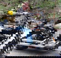 Lower Blue Mountains Tour on a Harley Davidson Motorcycle - Accommodation BNB
