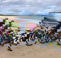 E-Bike Rentals in Sydney Botany Bay - Accommodation BNB