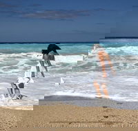 Full-Day Small Group Guided Tour from Bondi to Watsons Bay Sydney - Accommodation BNB