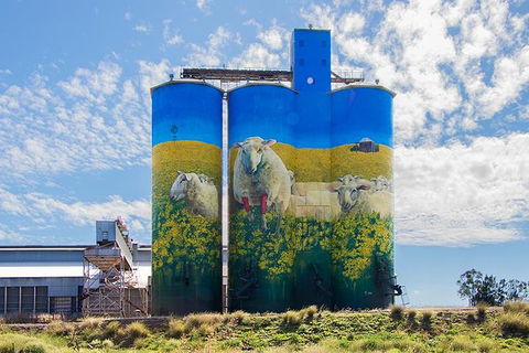 8-Day NSW Outback Tour Broken Hill Bourke Mungo Warrumbungles From Sydney - Accommodation BNB 6