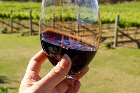 Wine Tasting In Canberra Region - Accommodation BNB 0