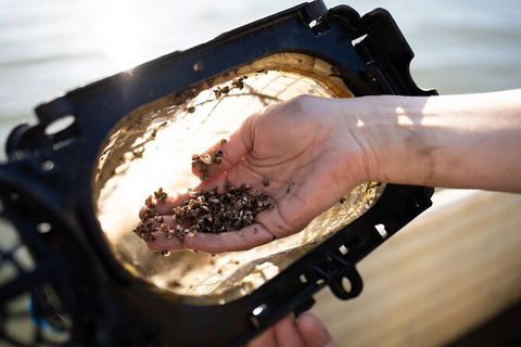 Oyster Farm Tour- Hawkesbury River (1hr North Of Sydney). - Accommodation BNB 5