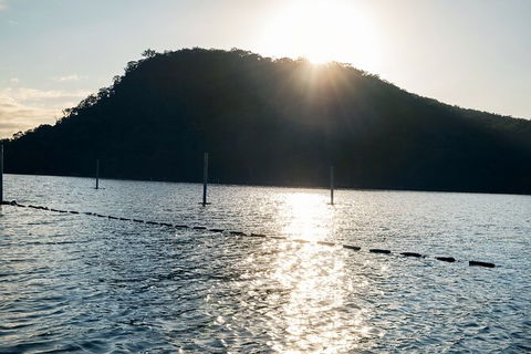 Oyster Farm Tour- Hawkesbury River (1hr North Of Sydney). - Accommodation BNB 4