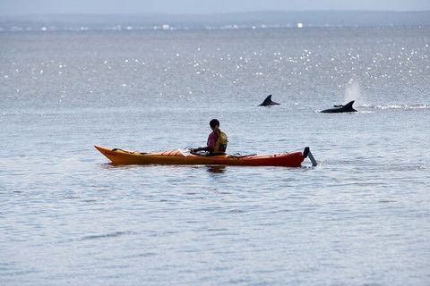 Half-Day Jervis Bay Sea Kayak Tour - Accommodation BNB 4