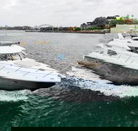 3-Hour Private Luxury Sightseeing Boat Charter on Sydney Harbour - Accommodation BNB