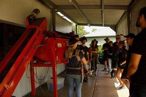 Pecan Farm Tour And Workshop, Byron Bay Hinterland - Accommodation BNB 4