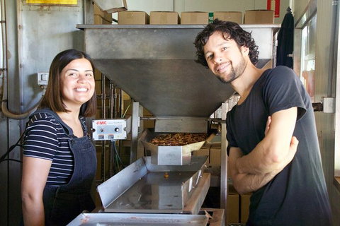 Pecan Farm Tour And Workshop, Byron Bay Hinterland - Accommodation BNB 7