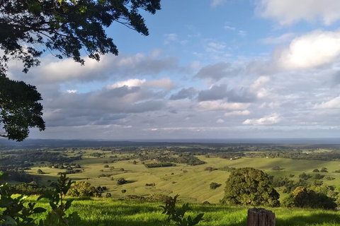 Pecan Farm Tour And Workshop, Byron Bay Hinterland - Accommodation BNB 1