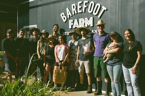 Pecan Farm Tour And Workshop, Byron Bay Hinterland - Accommodation BNB 0