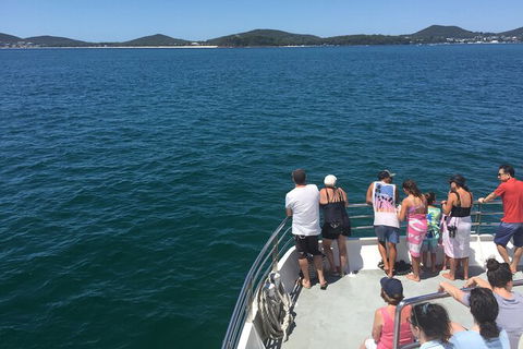 Port Stephens Private Bus Tour From Sydney, Option Of Dolphin Or Whale Cruises - Accommodation BNB 3
