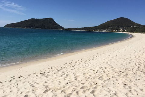 Port Stephens Private Bus Tour From Sydney, Option Of Dolphin Or Whale Cruises - Accommodation BNB 1