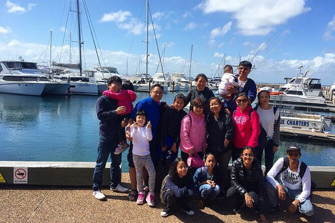 Port Stephens Private Bus Tour From Sydney, Option Of Dolphin Or Whale Cruises - Accommodation BNB 7