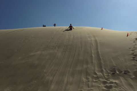 Port Stephens Private Bus Tour From Sydney, Option Of Dolphin Or Whale Cruises - Accommodation BNB 6