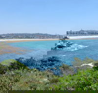 Sydney City Harbour and Bondi All Inclusive Private Bus Tour included Transfer - Accommodation BNB