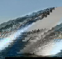 2hr Explorer Cruise - Sydney's best value whale watching cruise - Accommodation BNB