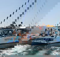 Sydney Party Boat and Cruise Hire - Accommodation BNB