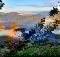 Private 10-hour Tour to Blue Mountains from Sydney - Hotel pick up  drop off - Accommodation BNB