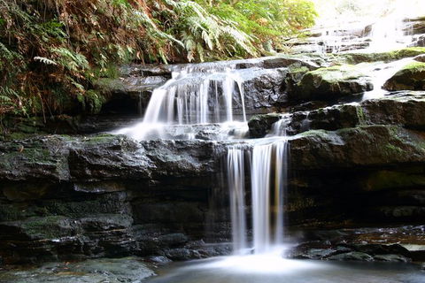 Private 10-hour Tour To Blue Mountains From Sydney - Hotel Pick Up & Drop Off - Accommodation BNB 6
