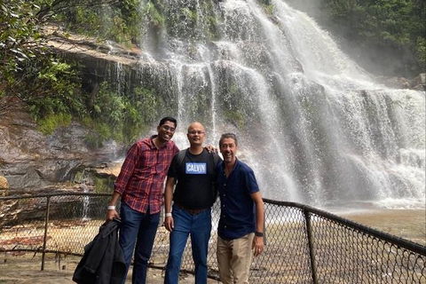 Blue Mountains Highlights & Wildlife Park - Accommodation BNB 4
