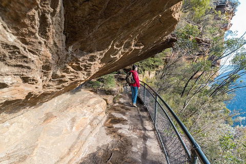 Blue Mountains Highlights & Wildlife Park - Accommodation BNB 0