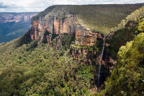 Blue Mountains Highlights & Wildlife Park - Accommodation BNB 9