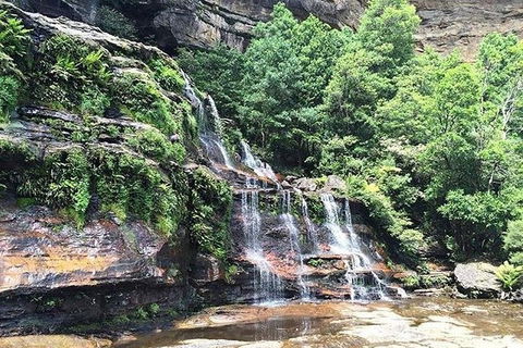 Blue Mountains Highlights & Wildlife Park - Accommodation BNB 8