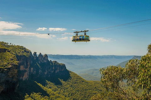 Blue Mountains Highlights, Wildlife Park And Scenic World Full Day Private Tour - Accommodation BNB 0