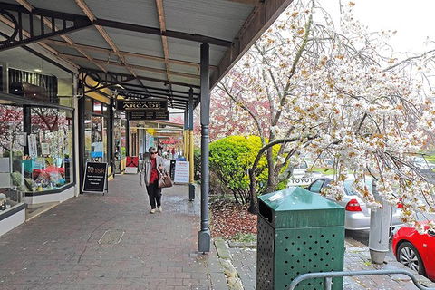 Blue Mountains Highlights, Wildlife Park And Scenic World Full Day Private Tour - Accommodation BNB 2