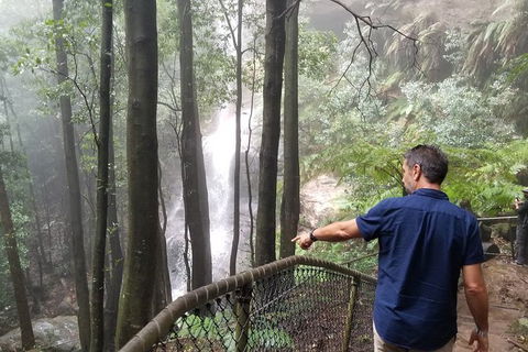 Blue Mountains Highlights, Wildlife Park And Scenic World Full Day Private Tour - Accommodation BNB 6